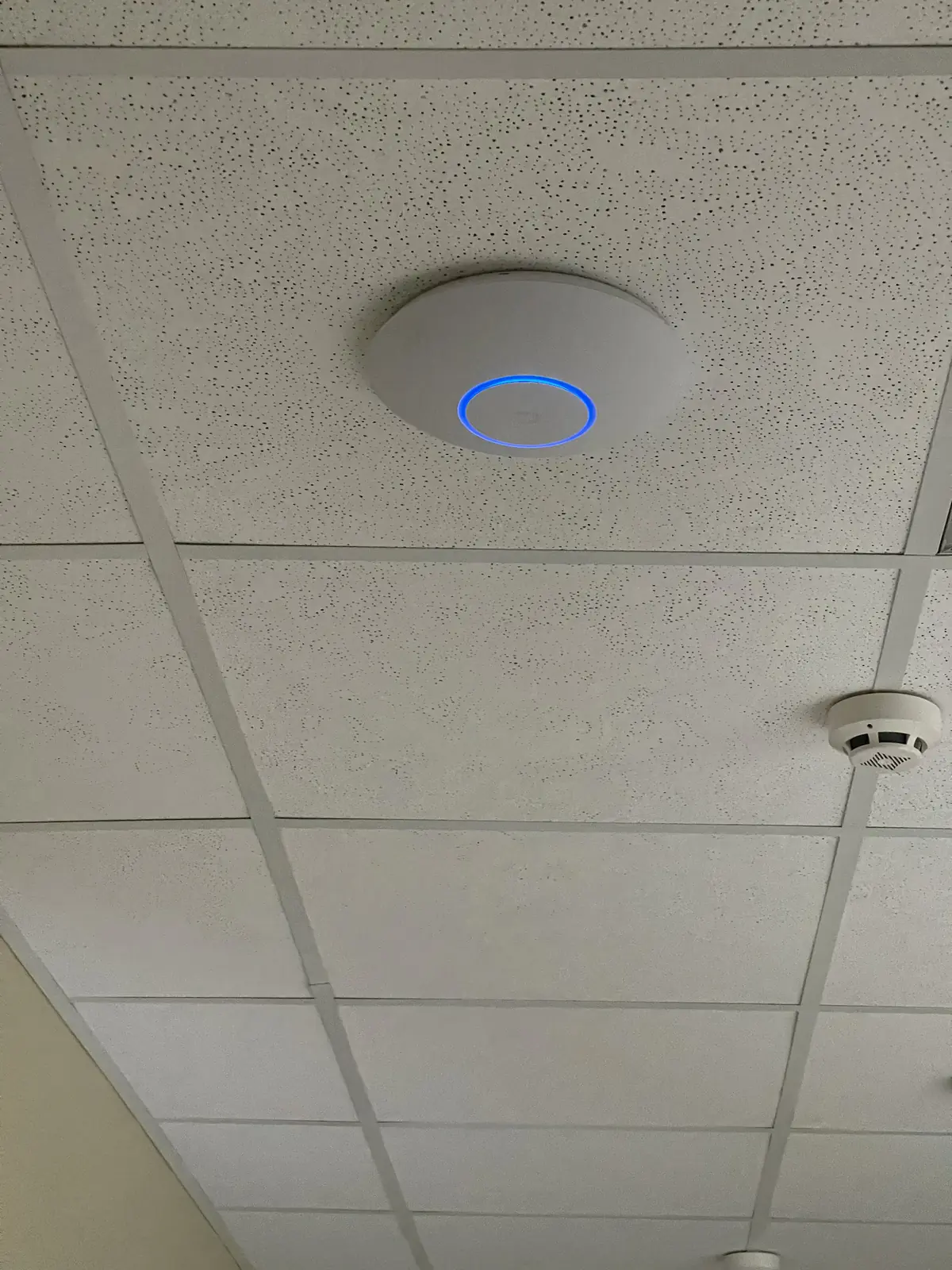 Smart Home — Doina (Quo Vadis)